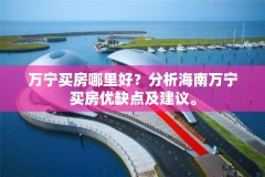 万宁买房哪里好？分析海南万宁买房优缺点及建议。