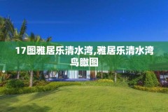 17图雅居乐清水湾,雅居乐清水湾鸟瞰图