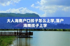 大人海南户口孩子怎么上学,落户海南孩子上学