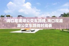 海口观澜湖公交车路线,海口观澜湖公交车路线时间表