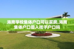 海南学校集体户口可以买房,海南集体户口能入孩子户口吗