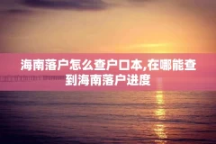 海南落户怎么查户口本,在哪能查到海南落户进度