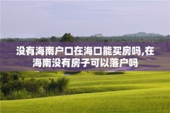 没有海南户口在海口能买房吗,在海南没有房子可以落户吗