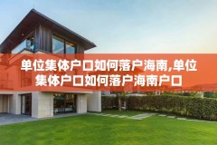 单位集体户口如何落户海南,单位集体户口如何落户海南户口