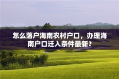 怎么落户海南农村户口，办理海南户口迁入条件最新？