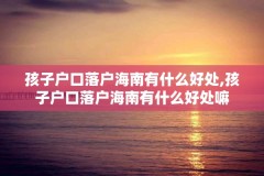 孩子户口落户海南有什么好处,孩子户口落户海南有什么好处嘛