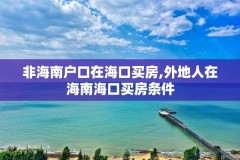 非海南户口在海口买房,外地人在海南海口买房条件