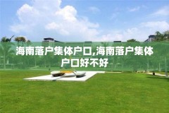 海南落户集体户口,海南落户集体户口好不好