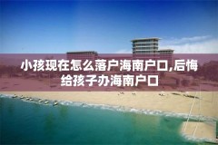 小孩现在怎么落户海南户口,后悔给孩子办海南户口