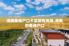 海南集体户口不买房有用嘛,海南的集体户口