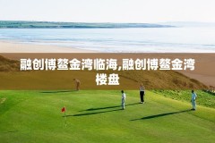 融创博鳌金湾临海,融创博鳌金湾楼盘