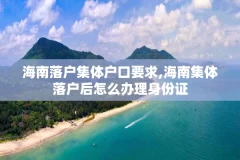 海南落户集体户口要求,海南集体落户后怎么办理身份证