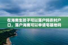 在海南生孩子可以落户吗农村户口，落户海南可以申请宅基地吗？