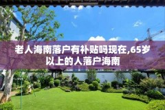 老人海南落户有补贴吗现在,65岁以上的人落户海南