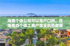 海南个体公司可以落户口吗,在海南办个体工商户营业执照都需要什么手续,最好具体点?