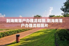 到海南落户办理流程图,到海南落户办理流程图片