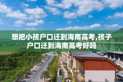 想把小孩户口迁到海南高考,孩子户口迁到海南高考好吗