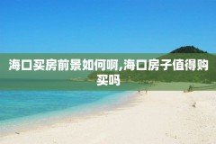 海口买房前景如何啊,海口房子值得购买吗