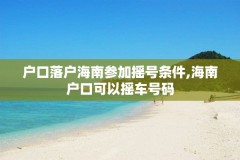 户口落户海南参加摇号条件,海南户口可以摇车号码
