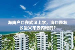 海南户口在武汉上学，海口是怎么坐火车去内地的？