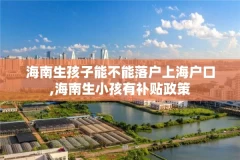 海南生孩子能不能落户上海户口,海南生小孩有补贴政策