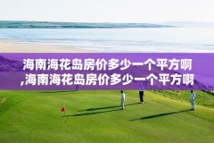 海南海花岛房价多少一个平方啊,海南海花岛房价多少一个平方啊知乎