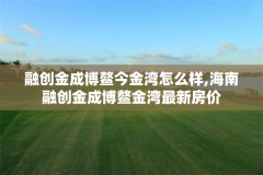 融创金成博鳌今金湾怎么样,海南融创金成博鳌金湾最新房价