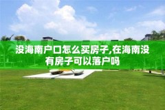 没海南户口怎么买房子,在海南没有房子可以落户吗