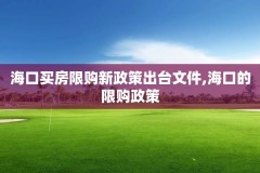 海口买房限购新政策出台文件,海口的限购政策