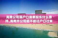 海南公司落户口需要股东什么条件,海南开公司能不能迁户口过来