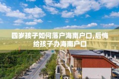 四岁孩子如何落户海南户口,后悔给孩子办海南户口