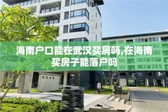 海南户口能在武汉买房吗,在海南买房子能落户吗