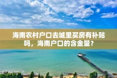海南农村户口去城里买房有补贴吗，海南户口的含金量？