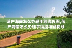 落户海南怎么办理手续流程图,落户海南怎么办理手续流程图视频