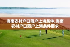 海南农村户口落户上海条件,海南农村户口落户上海条件要求