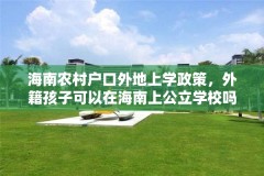 海南农村户口外地上学政策,外籍孩子可以在海南上公立学校吗?