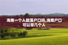海南一个人能落户口吗,海南户口可以带几个人