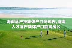 海南落户挂集体户口吗现在,海南人才落户集体户口能购房么