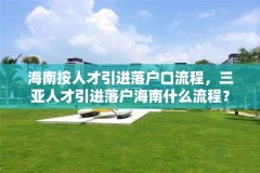 海南按人才引进落户口流程,三亚人才引进落户海南什么流程?