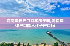 海南集体户口能买房子吗,海南集体户口能入孩子户口吗