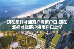 现在怎样才能落户海南户口,现在怎样才能落户海南户口上学