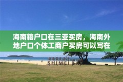海南籍户口在三亚买房,海南外地户口个体工商户买房可以写在个人名下吗?