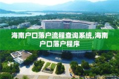 海南户口落户流程查询系统,海南户口落户程序