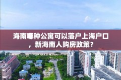 海南哪种公寓可以落户上海户口，新海南人购房政策？