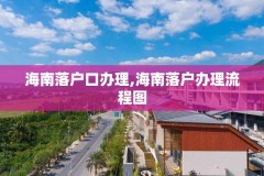 海南落户口办理,海南落户办理流程图