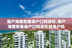 落户海南有集体户口吗现在,落户海南有集体户口吗现在能落户吗
