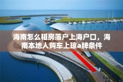 海南怎么租房落户上海户口,海南本地人购车上琼a牌条件