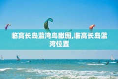 临高长岛蓝湾鸟瞰图,临高长岛蓝湾位置