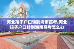 河北孩子户口转到海南高考,河北孩子户口转到海南高考怎么办