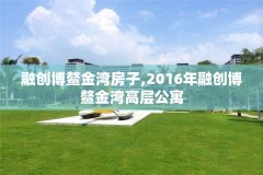 融创博鳌金湾房子,2016年融创博鳌金湾高层公寓